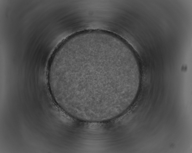 X0000089920832200707131409