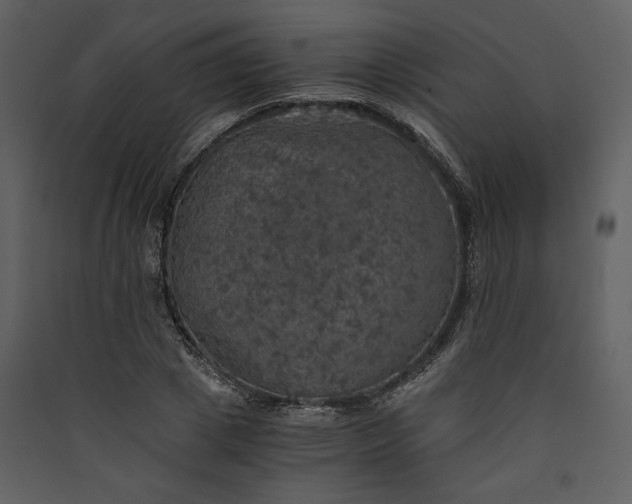 X0000089920833200707131409