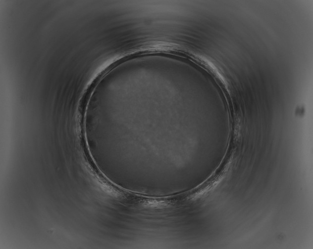 X0000089920835200707131409