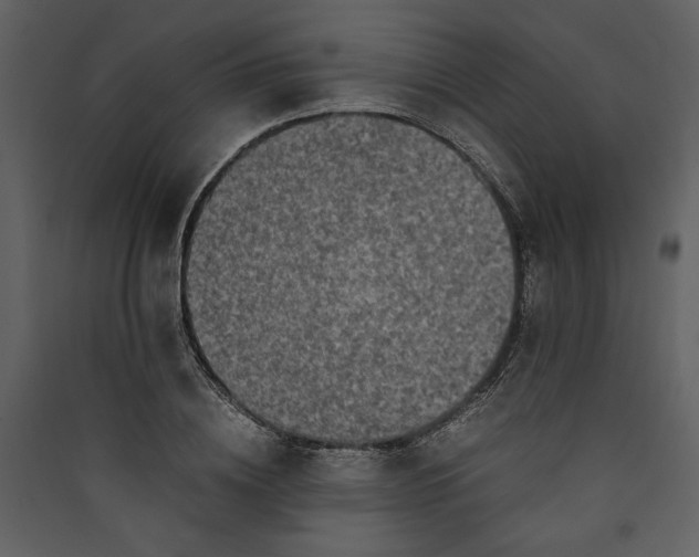X0000089920836200707131409