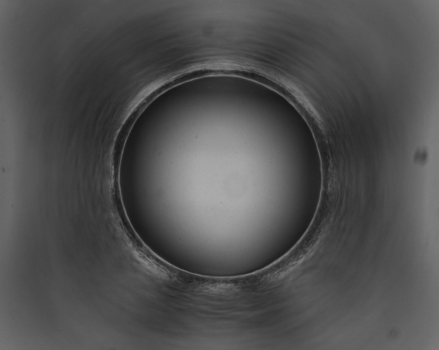X0000089920837200707131409