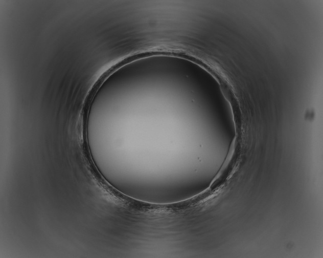 X0000089920838200707131409