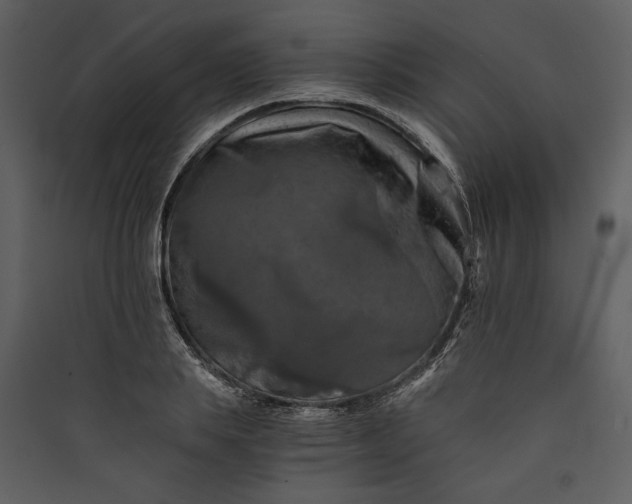 X0000089920839200707131409