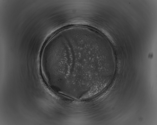 X0000089920840200707131409