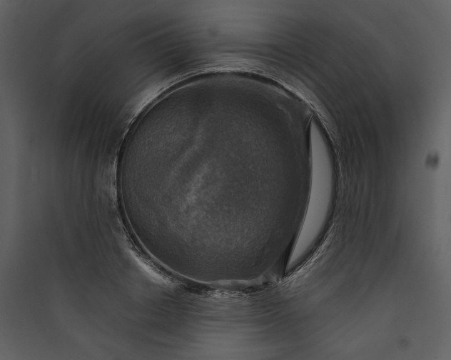 X0000089920842200707131409