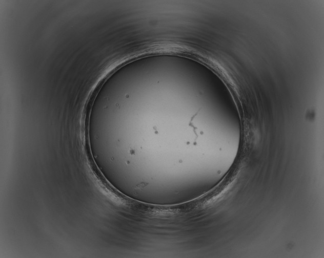 X0000089920843200707131409