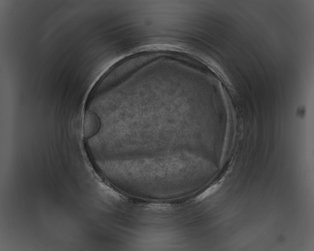 X0000089920844200707131409