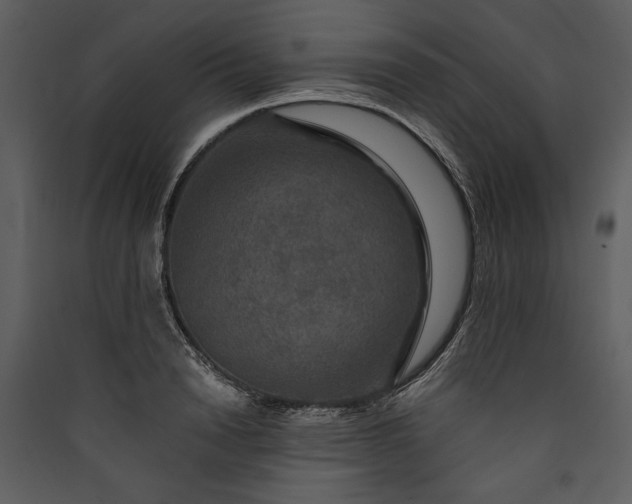 X0000089920846200707131409