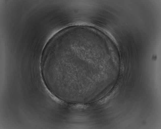 X0000089920847200707131409
