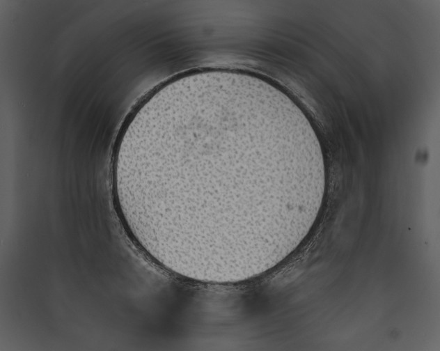 X0000089920848200707131409