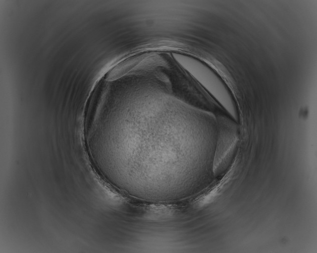X0000089920850200707131409