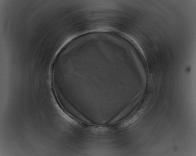 X0000089920851200707131409