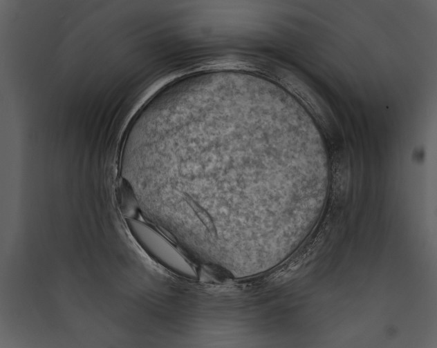 X0000089920852200707131409