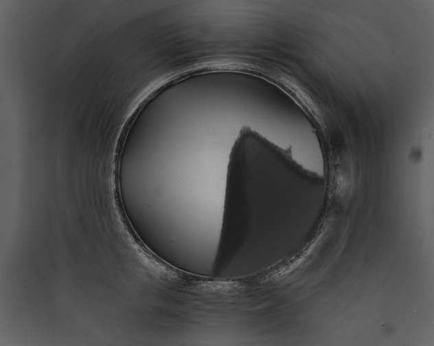 X0000089920853200707131409