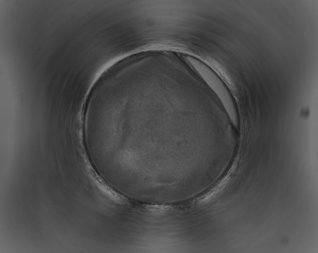 X0000089920854200707131409