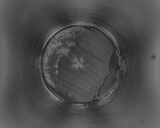 X0000089920855200707131409
