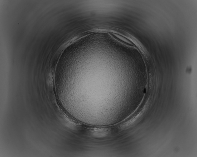 X0000089920857200707131409