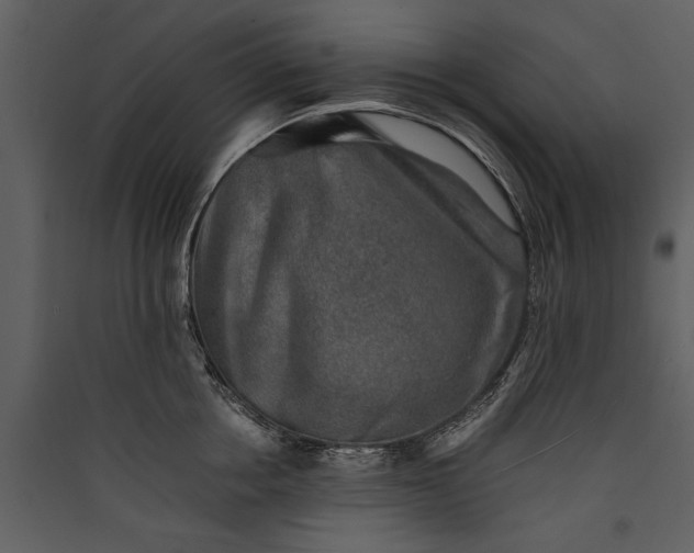 X0000089920858200707131409
