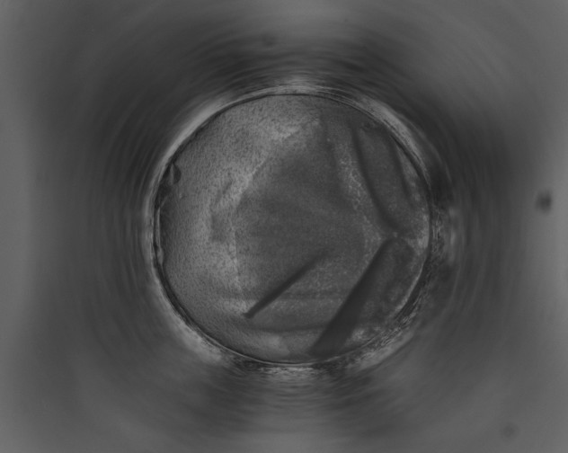 X0000089920859200707131409