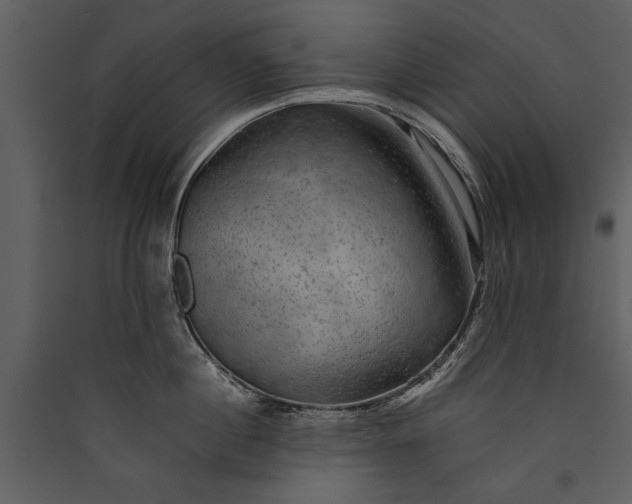 X0000089920860200707131409