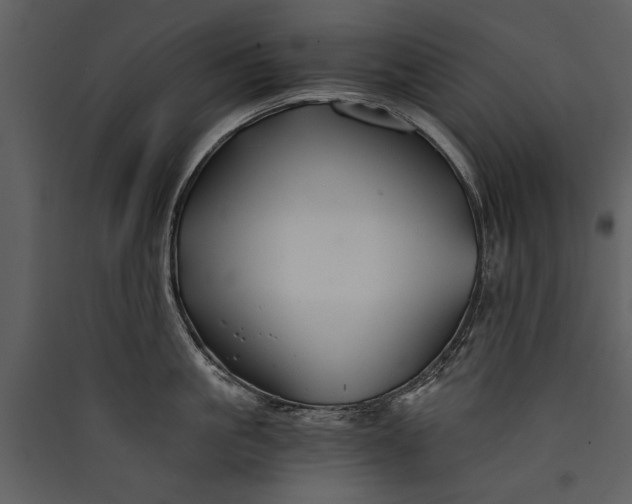 X0000089920861200707131409