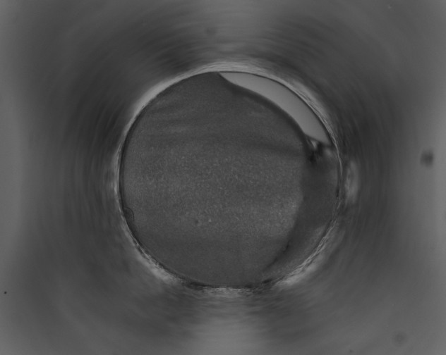 X0000089920862200707131409