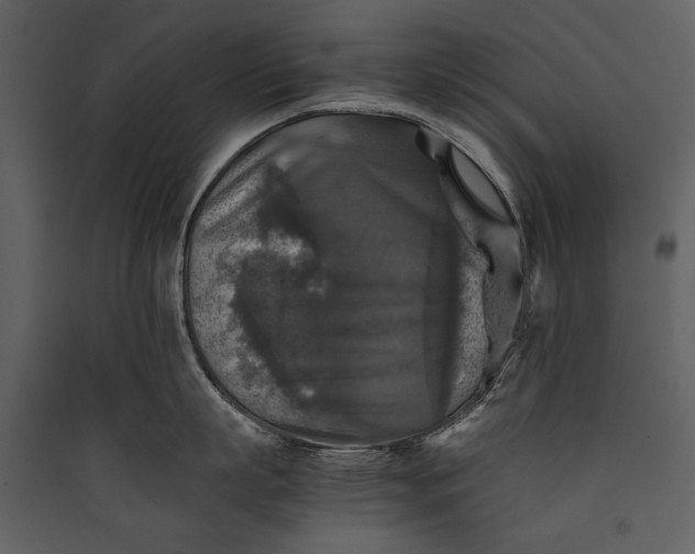 X0000089920863200707131409