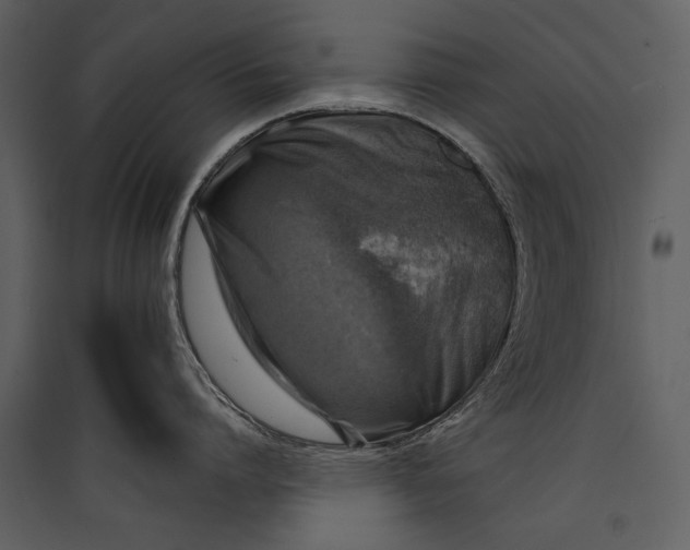 X0000089920864200707131409