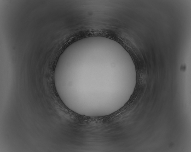 X0000089920865200707131408