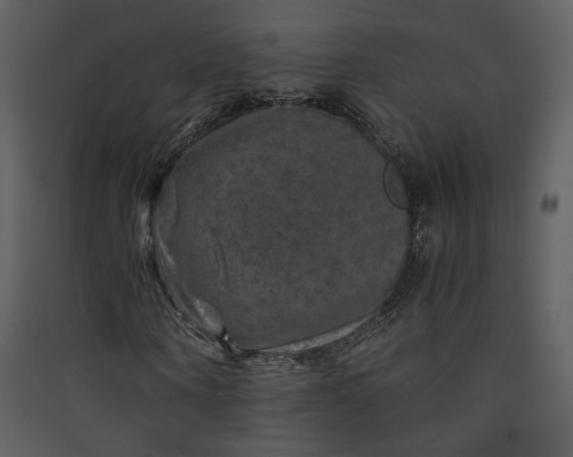 X0000089920866200707131408