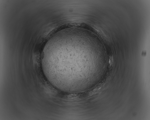 X0000089920867200707131408