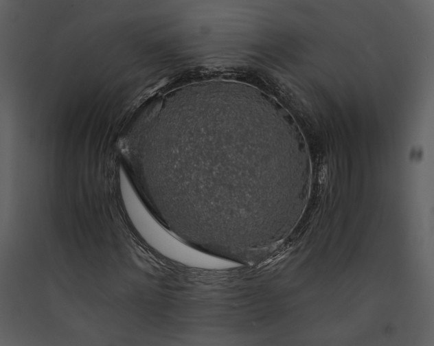 X0000089920868200707131408