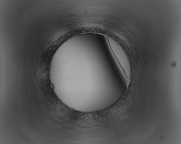 X0000089920869200707131408