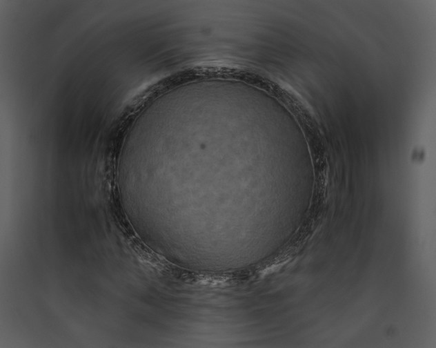 X0000089920870200707131408