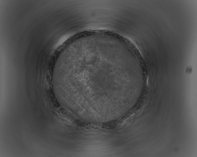 X0000089920871200707131408