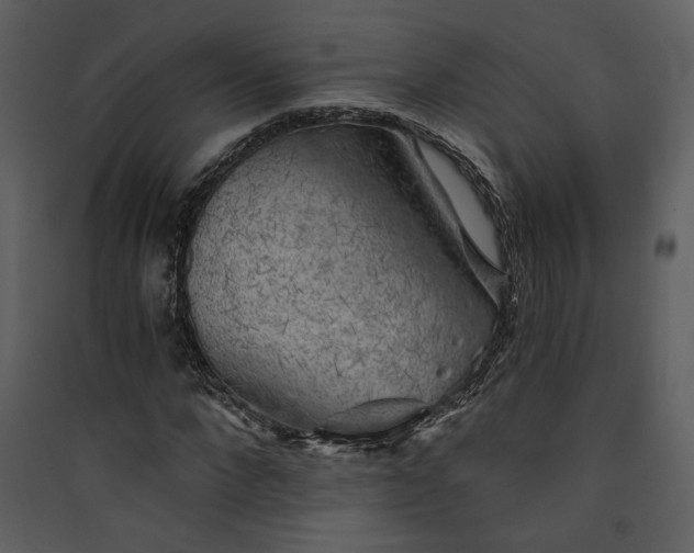 X0000089920872200707131408