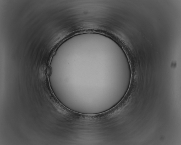 X0000089920873200707131408