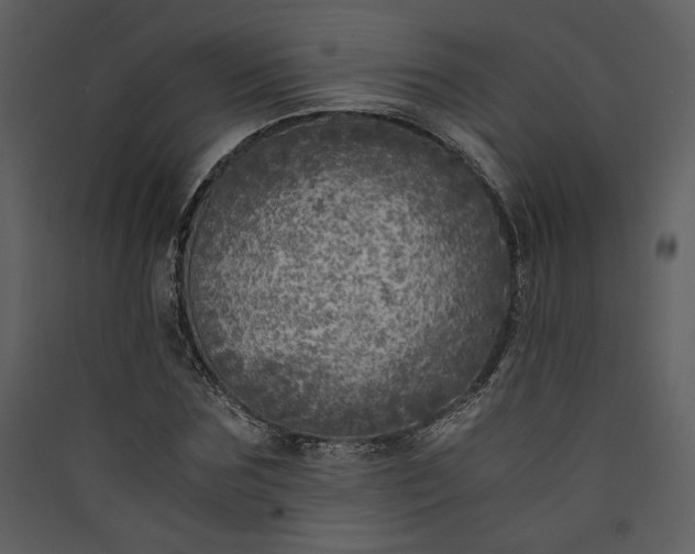 X0000089920875200707131408
