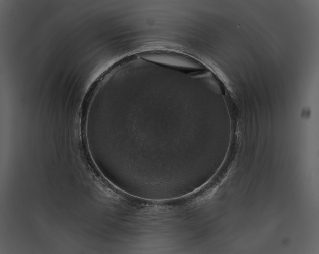 X0000089920877200707131408