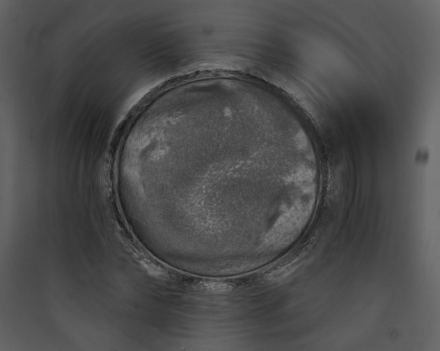 X0000089920878200707131408