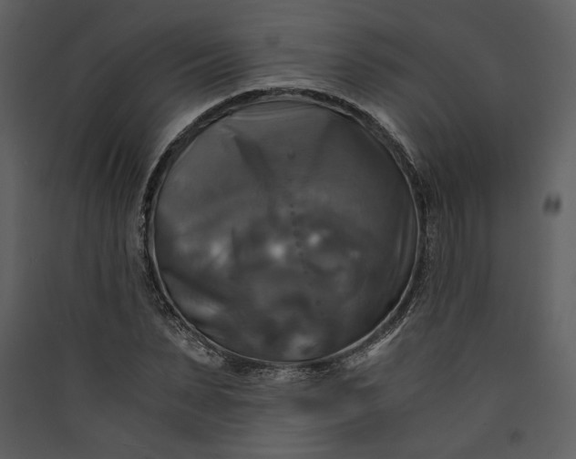 X0000089920879200707131408