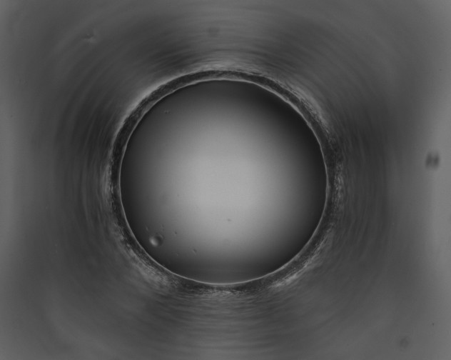 X0000089920880200707131408