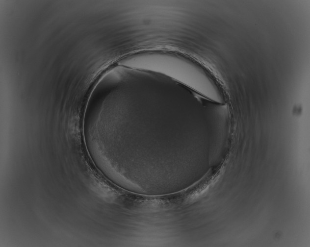 X0000089920881200707131408