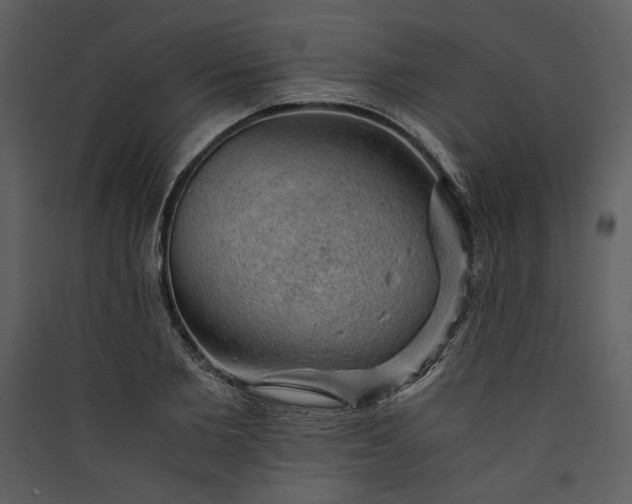 X0000089920885200707131408