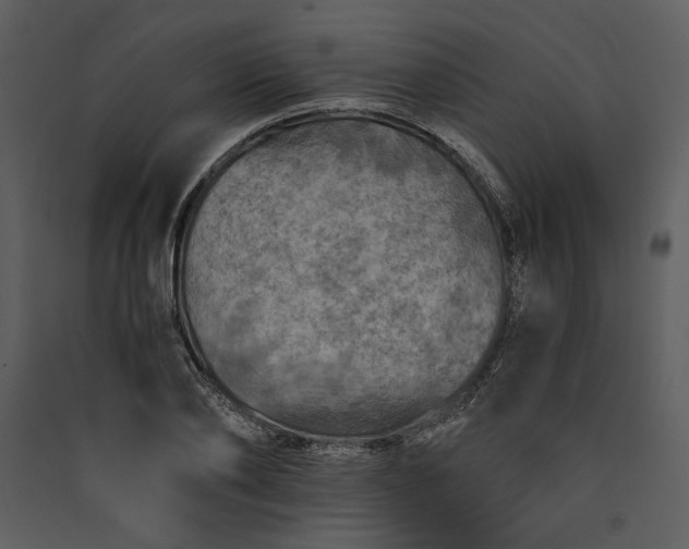 X0000089920886200707131408