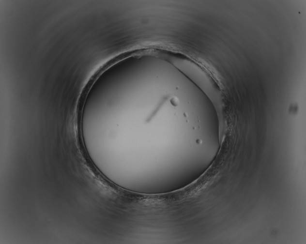 X0000089920888200707131408
