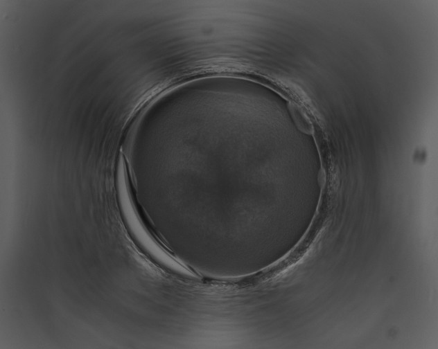 X0000089920889200707131408