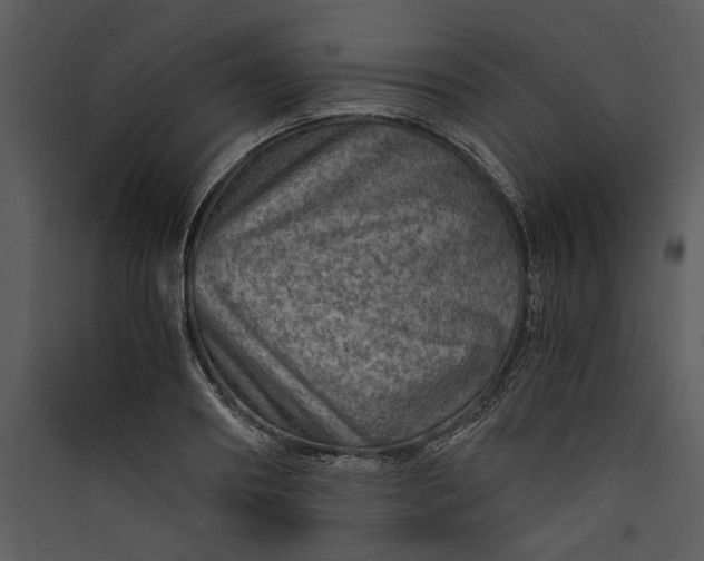 X0000089920890200707131408