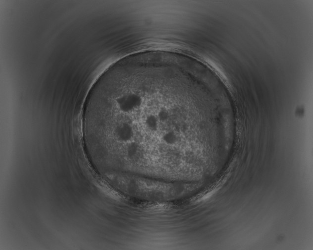 X0000089920891200707131408