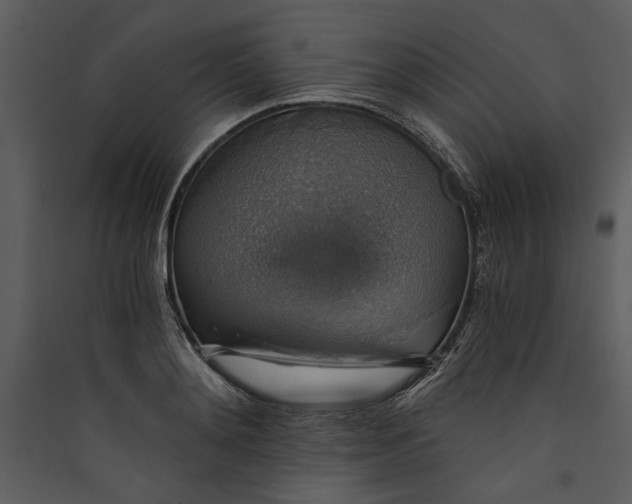 X0000089920892200707131408